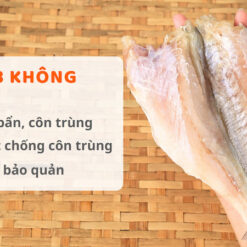 Alternative view of Cá Đù 1 Nắng