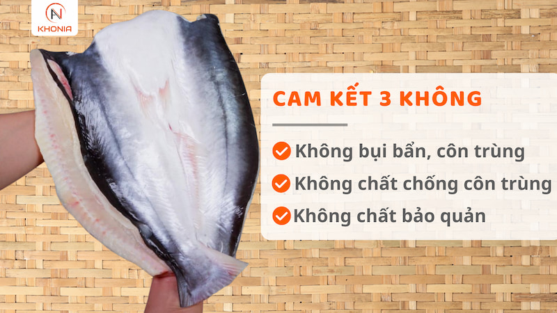 Khô Cá Dứa 1 Nắng (Sấy Tiệt Trùng) - Ảnh 2
