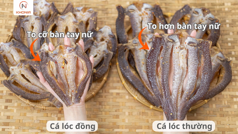 Khô Cá Lóc Sấy - Vị Vừa Ăn - Ảnh 10