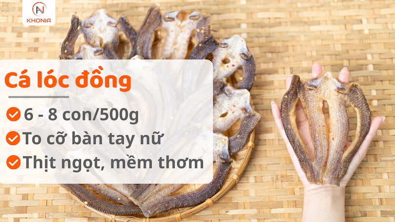 Khô Cá Lóc Sấy - Vị Vừa Ăn - Ảnh 12