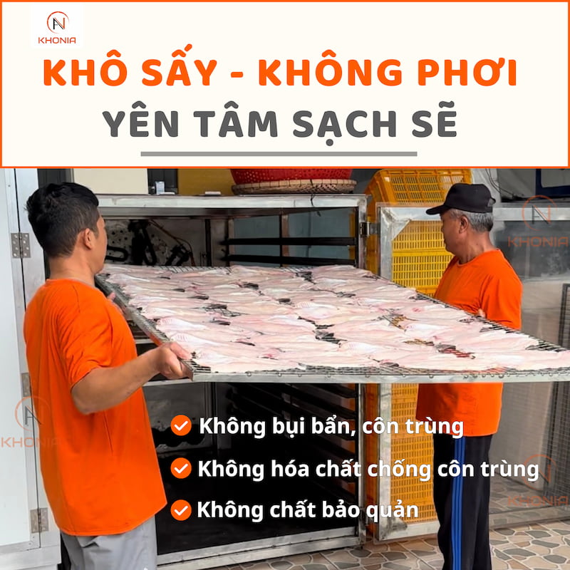 Khô Cá Dứa 1 Nắng (Sấy Tiệt Trùng) - Ảnh 4