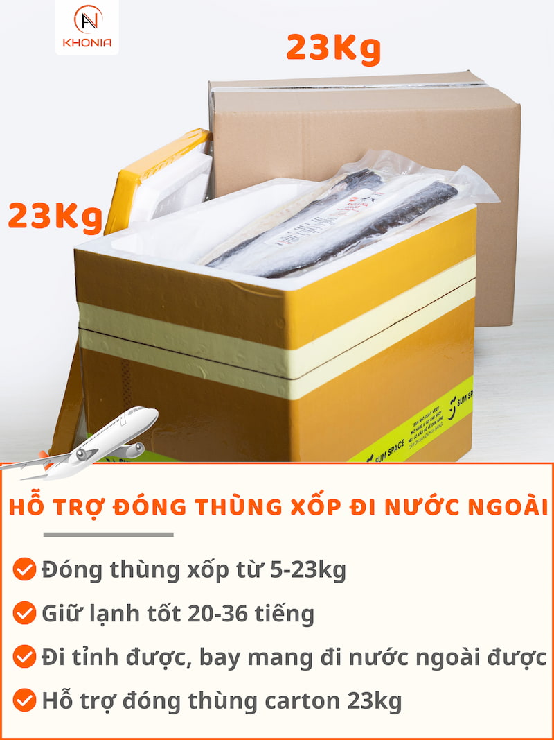 Khô Cá Dứa 1 Nắng (Sấy Tiệt Trùng) - Ảnh 16