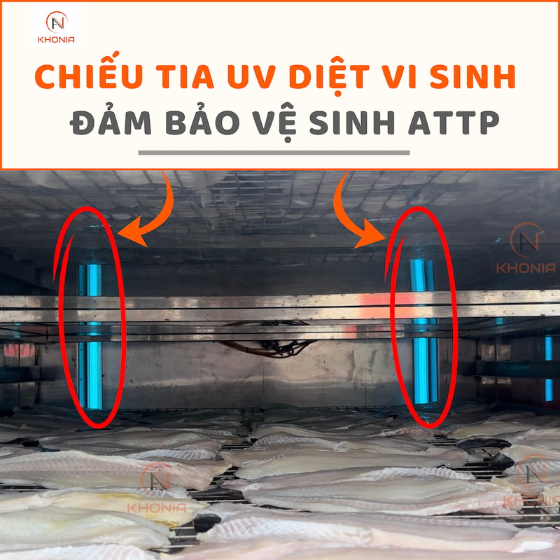 Khô Cá Dứa 1 Nắng (Sấy Tiệt Trùng) - Ảnh 5