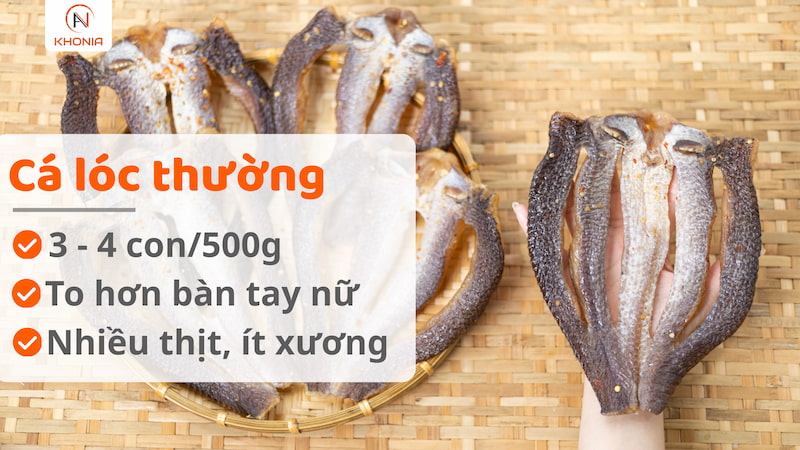 Khô Cá Lóc Sấy - Vị Vừa Ăn - Ảnh 11